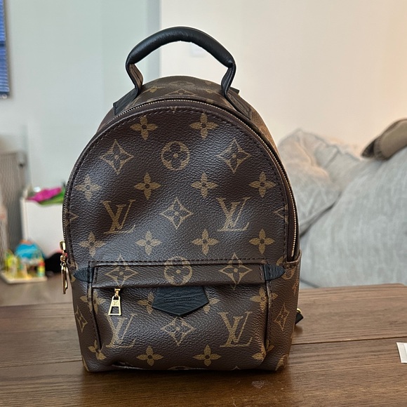 Louis Vuitton Palm Springs Mini Backpack - Picture 1 of 5
